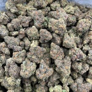 Apple Scotti 🍎 ⛽️