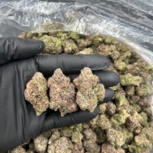 Cherry Gas ⛽️ 🍒 🍭