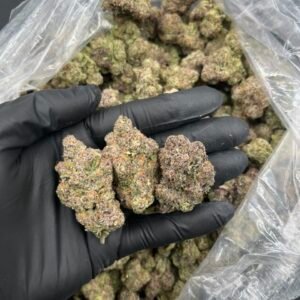 Strawberry Beltz 🍓 🍭