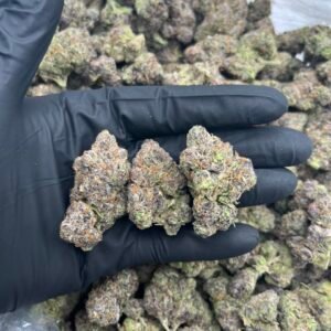 Candy Gas ⛽️ 🍭