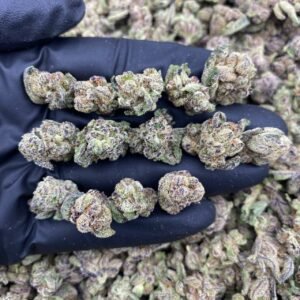 CINNAMON SWIRLZ - INDOOR SMALLS 🍭