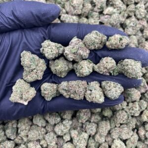 TORTA BURGER - INDOOR SMALLS 🍔