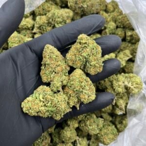 41 cherries 🍒 ⛽️