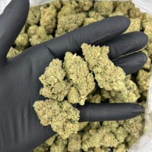 Banana Bunch 🍌 🍭