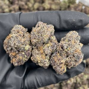 RAINBOW TWIZZLERS INDOOORS 🌈🍒